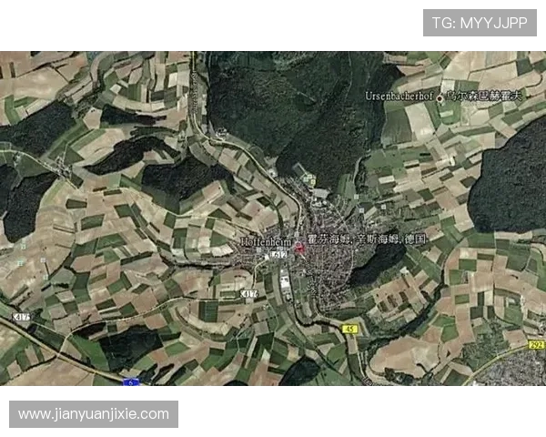 霍芬海姆1899足球俱乐部最新动态：球队表现分析与未来赛季展望