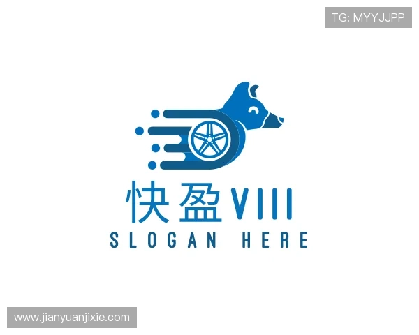 介绍快盈VIII